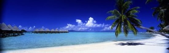 Bora Bora South Pacific Canvas Art - Panoramic Images (36 x 12)