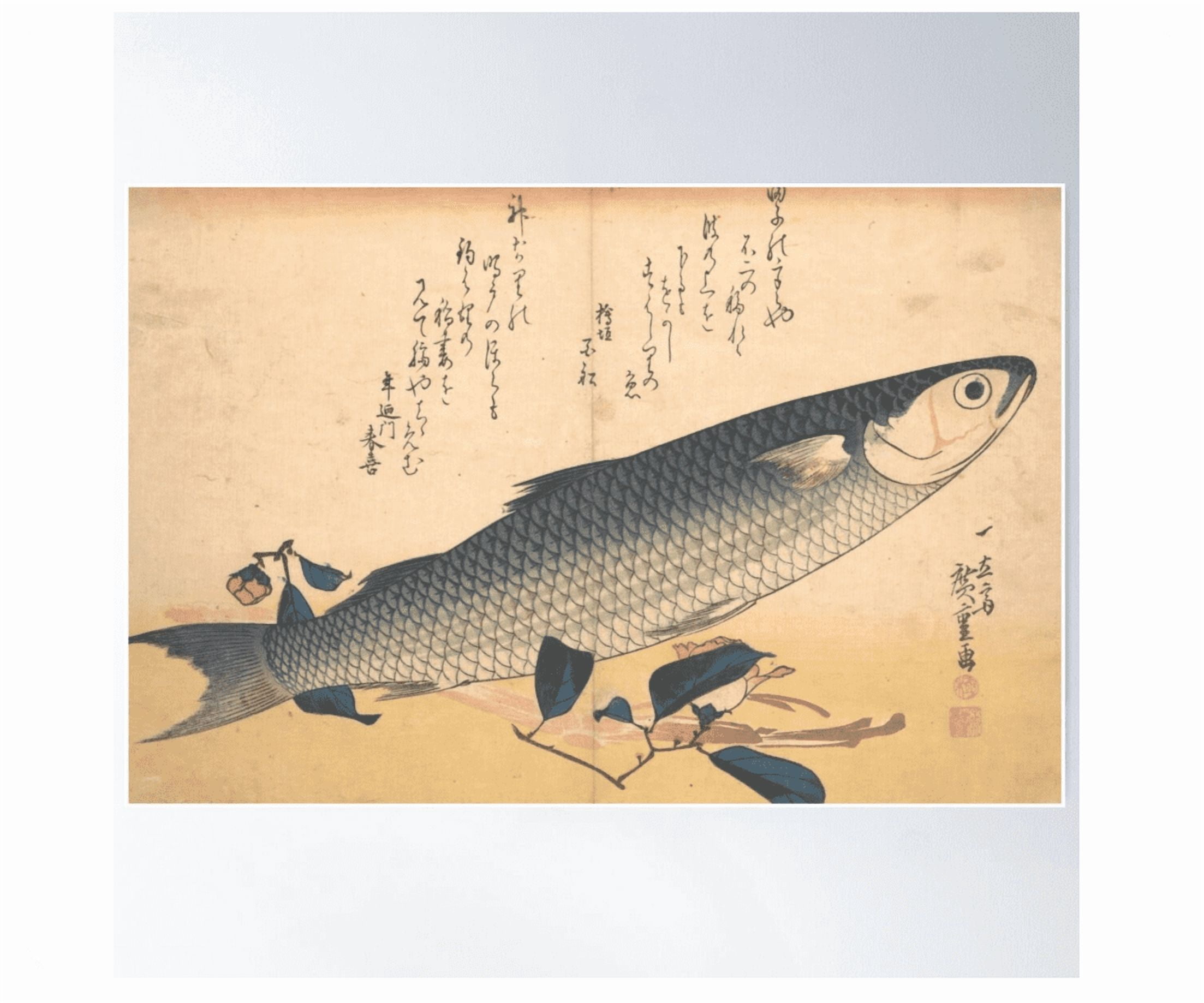 Bora Fish With Camellia From The Series Uozukushi (Every Variety ...