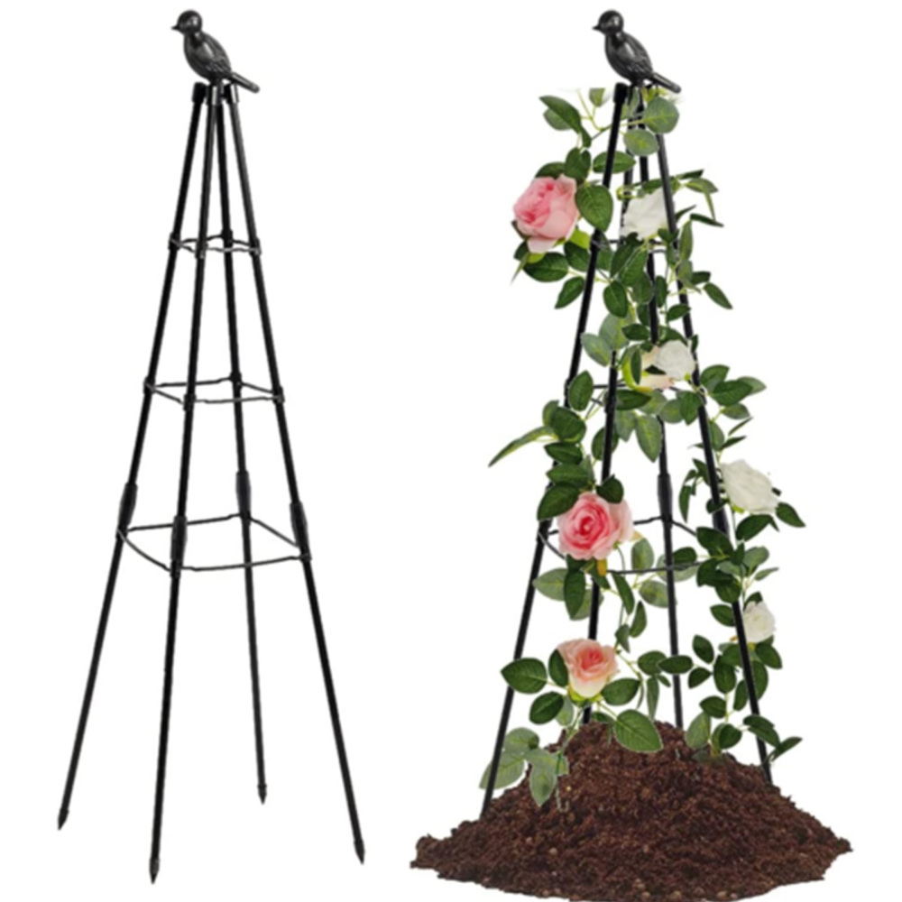 Borang Climbing Plant Flowers Trellis Easy Installation Potted Plants Stand for Garden