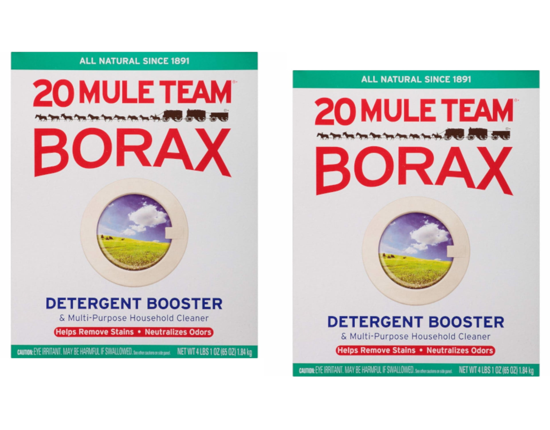 20 Mule Team Borax Natural Laundry Booster & Multi-Purpose Household  Cleaner 76 oz 2.15 kg,2pk 