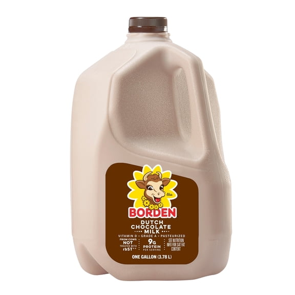 Borden Whole Dutch Chocolate Gallons