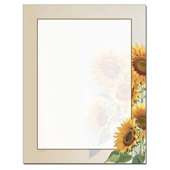 Border 100 Pack - 8.5 x 11 Inch Printable Letterhead - and Inkjet Printer Compatible