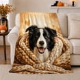 thumbnail image 1 of Border Collie Autumn, Cozy Pet Portrait Pattern, Warm Flannel Blanket for Living Room and Reading Nook with Detailed Artwork, Dog Lovers Thanksgiving Gift, Pet Lover Home Decor, 1 of 9