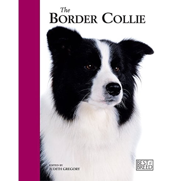 Pre-Owned The Border Collie (Best Of Breed) (Hardcover) 1906305188 9781906305185