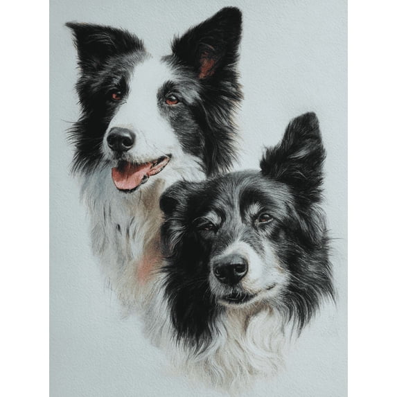 Border Collie Canvas Print Decorative Painting, Wall Art for Living Room Bedroom Office Cafe Hallway, Pet Lover Gift