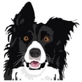 thumbnail image 1 of Border Collie Decal | Indoor/Outdoor | Dog Lover Super Cute Sticker for SUV Windows, Dorm Rooms, Bedroom, Offices | SignMission personalized gift | 18", 1 of 1