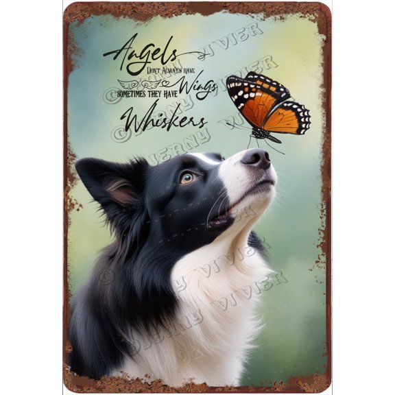 Border Collie Decor - Dog Lovers Home Decoration - Angel Dog Quote Sign - Dog Novelty Metal Sign - Bedroom & Living Room Wall Decor - Dog Owners Dog Lovers Gift - 12x8 inches, Aluminum