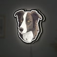 thumbnail image 1 of Border Collie Dog 3D Novelty Light Box, Smart Pet Breed Lamp Decor for Animal Lovers, Puppy Gifts and Herding Dog Rooms (Width 24 inch, 60cm), 1 of 9
