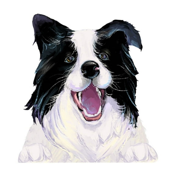 Border Collie Dog Car Decal Sticker Window Decoration Waterproof Vinyl Scratch Cover 8.5X8.3 Inch White