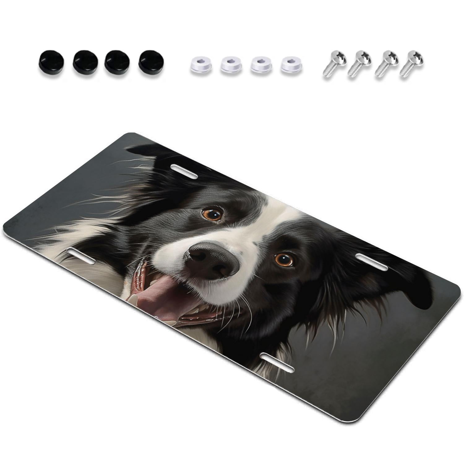 Border collie plates discount