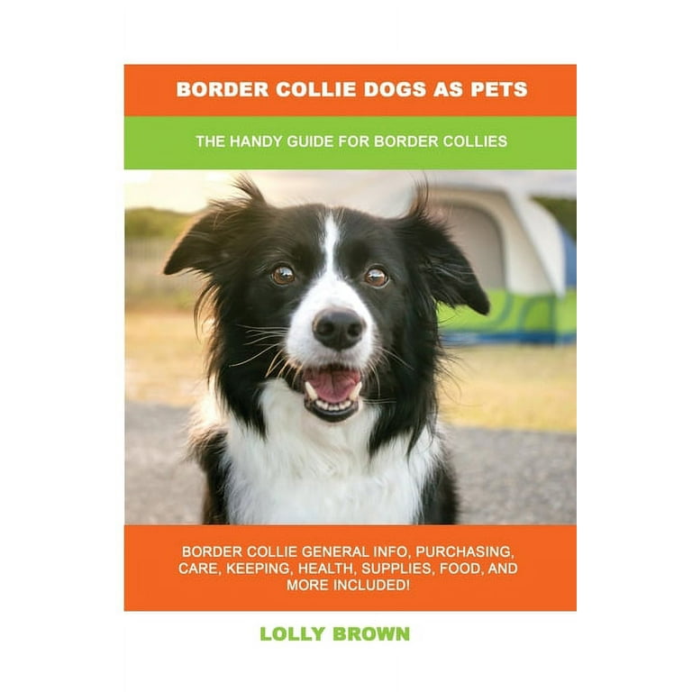 The Best Food for Border Collies
