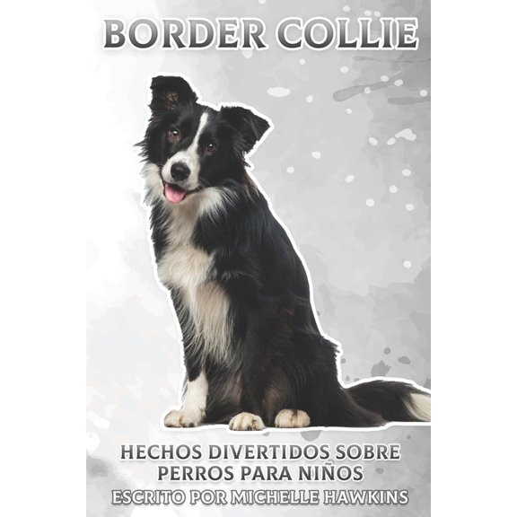 Border Collie: Hechos divertidos sobre perros para nios #29, (Paperback)