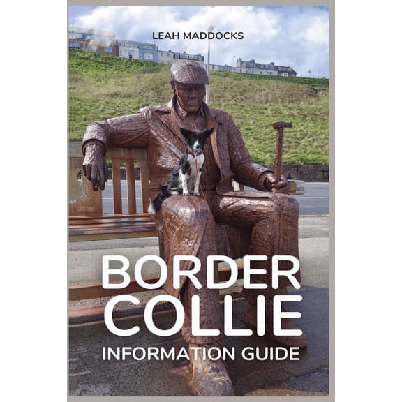 Border Collie Information Guide, (Paperback)