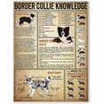 thumbnail image 1 of Border Collie Knowledge Posters Science Guide Metal Signs Retro Plaque Room Club Farm Decor Wall Decor 8x12 Inches, 1 of 5