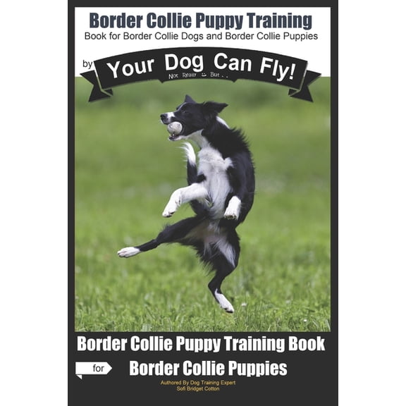 Border Collie Puppy Training by Your Dog Can Fly: Not Really But... Did You Know? Puppy Training Begins . . . From the Car Ride Home Border Collie Puppy Training (Paperback)
