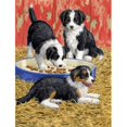 thumbnail image 1 of Border Collie Pups Flag Garden Size, 1 of 1