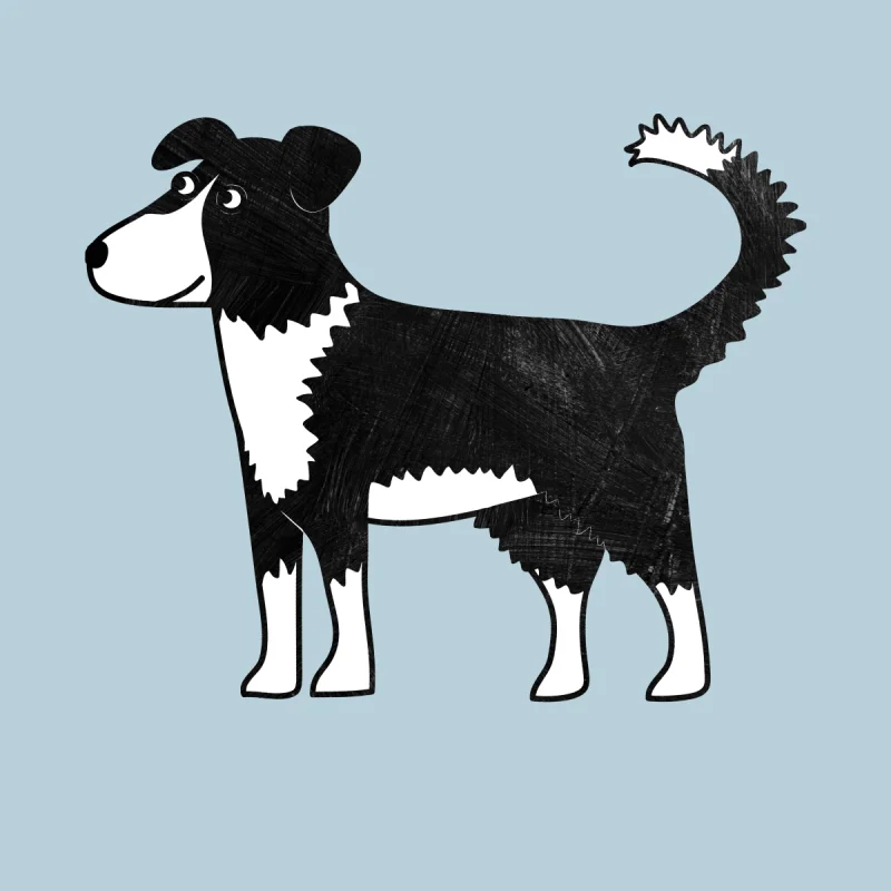 Border Collie Sheep Dog Nic Squirrell - Walmart.com