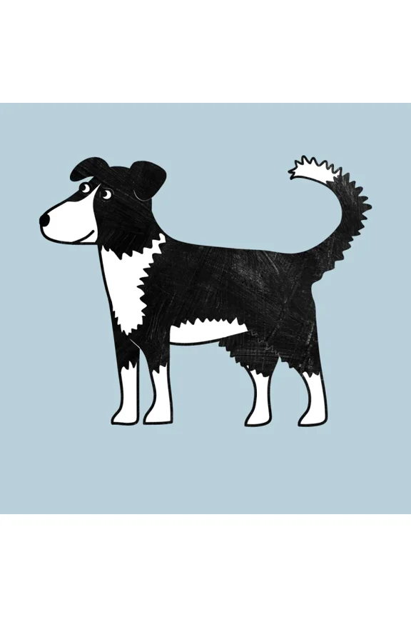 Border Collie Sheep Dog Nic Squirrell