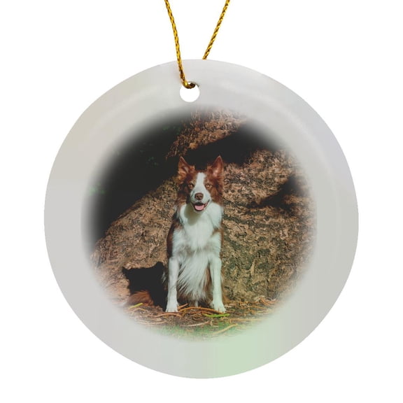3drose, Border Collie Sitting by Massive Tree Trunk, Mr, Circle Porcelain Ornament