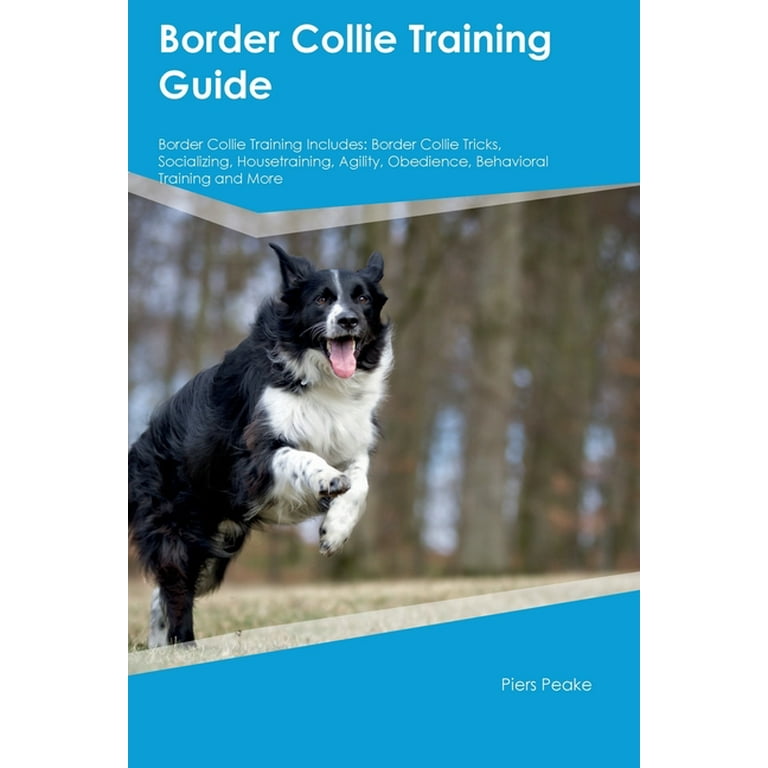 Border collie house clearance training