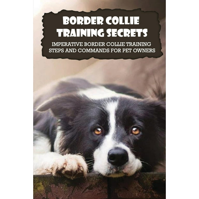 Border Collies Herding Training