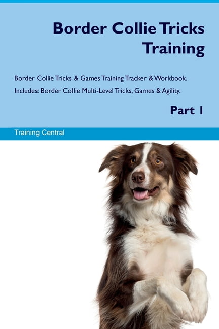Border Collie Tricks Training Border Collie Tricks Games