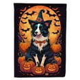 thumbnail image 1 of Border Collie Witchy Halloween House Flag, 1 of 7