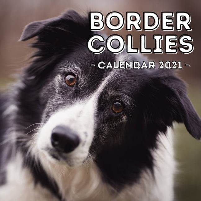 Border collie gift clearance ideas