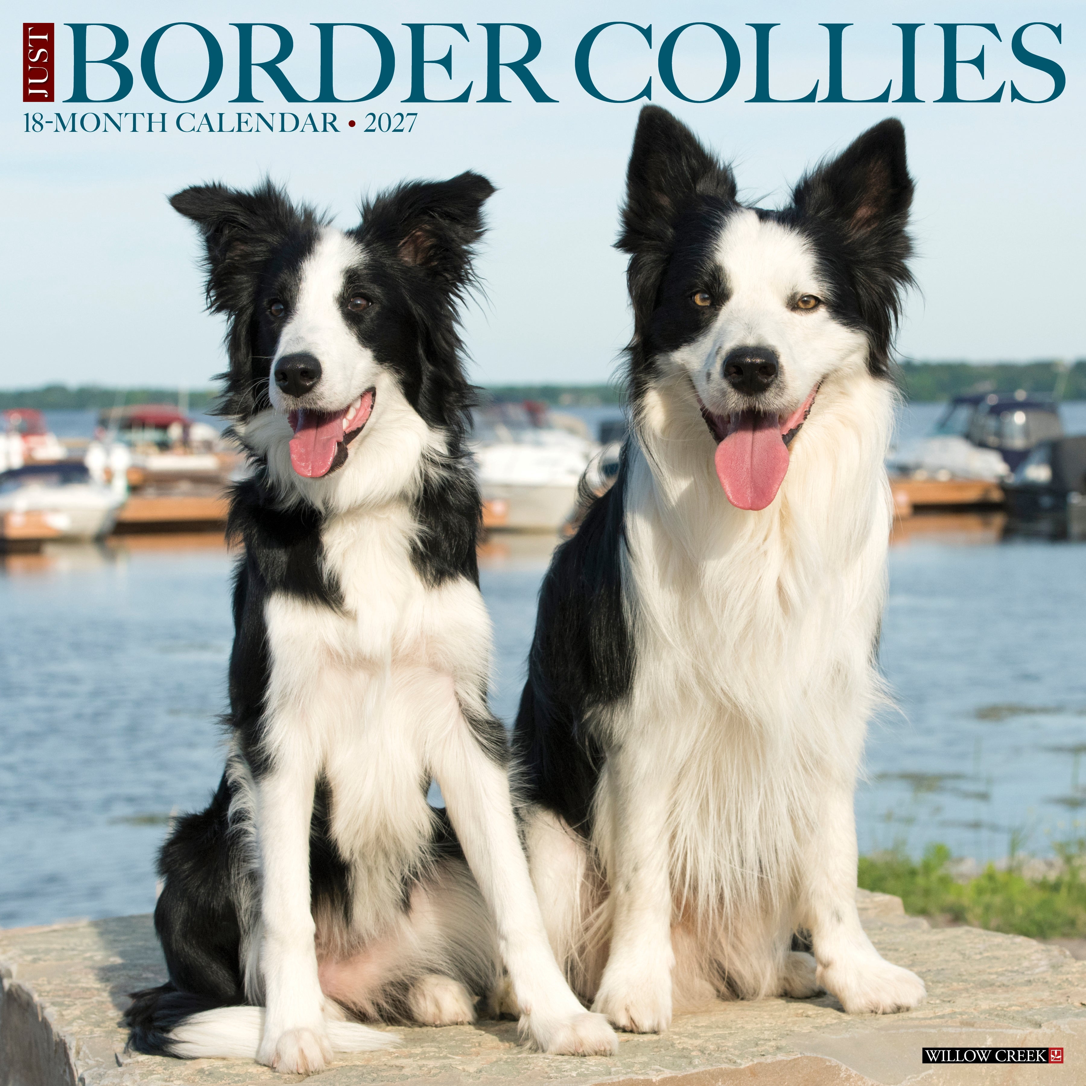 Willow Creek Press, Border Collies 2027 Wall Calendar