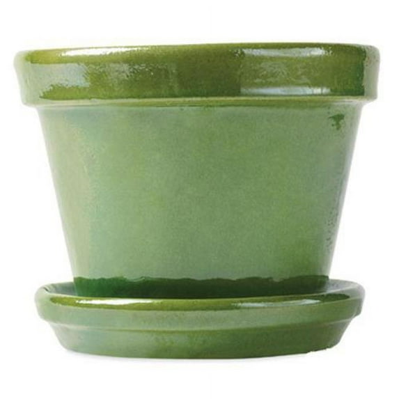 Border Concepts 4 Packs 8-1/4" GRN STD Pot