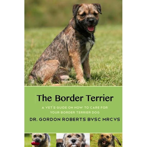 The Border Terrier: A vet's guide on how to care for your Border ...
