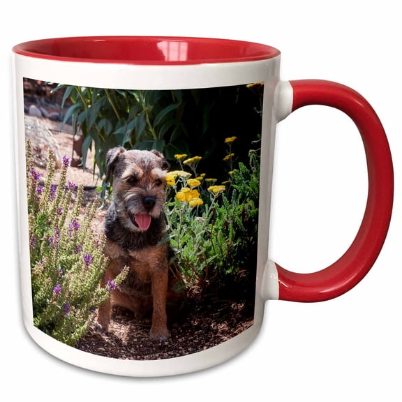 3drose, Border Terrier in a Garden, Mr, 11oz Two-tone Red Mug