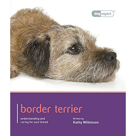 Pre-Owned Border Terrier (Paperback) 1906305668 9781906305666