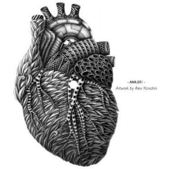 Borealis - Fizzmint - Electronica - Vinyl