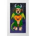 thumbnail image 1 of Borges, Victoria 11x18 White Modern Wood Framed Museum Art Print Titled - Halloween Pets Collection B, 1 of 4