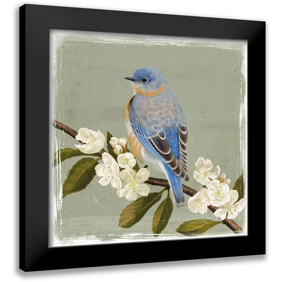 Borges, Victoria 12x12 Black Modern Framed Museum Art Print Titled - Bluebird Branch II
