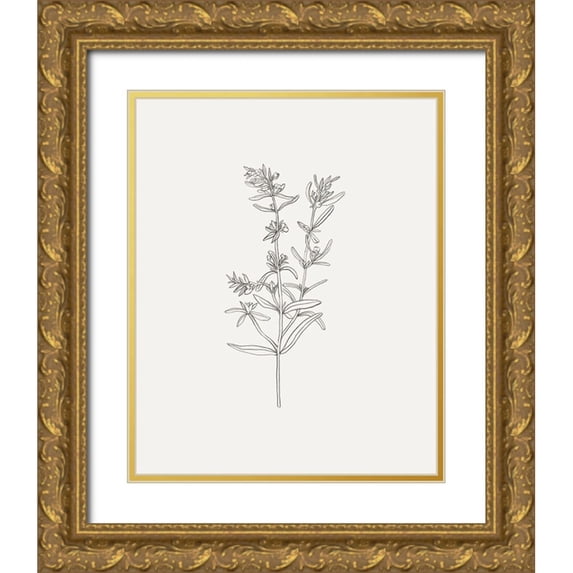 Borges, Victoria 12x14 Gold Ornate Wood Framed with Double Matting Museum Art Print Titled - Wild Foliage Sketch I
