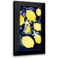 thumbnail image 1 of Borges, Victoria 14x24 Black Modern Framed Museum Art Print Titled - Fresh Fruit Collection B, 1 of 5