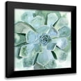 thumbnail image 1 of Borges, Victoria 15x15 Black Modern Framed Museum Art Print Titled - Verdant Succulent III, 1 of 5