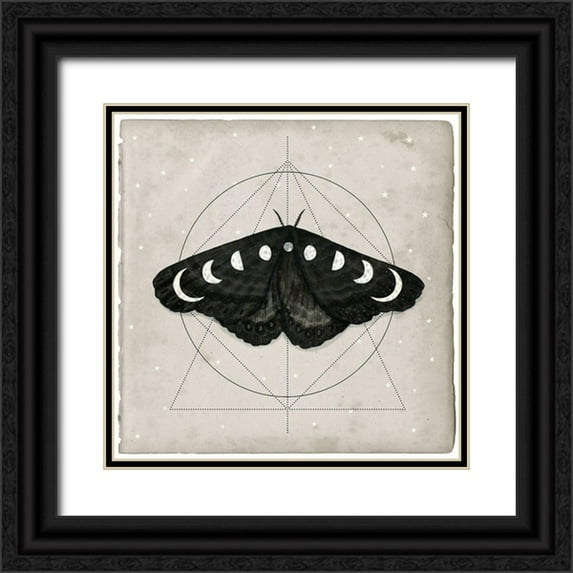Borges, Victoria 15x15 Black Ornate Wood Framed with Double Matting Museum Art Print Titled - Midnight Moth I