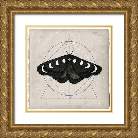 Borges, Victoria 15x15 Gold Ornate Wood Framed with Double Matting Museum Art Print Titled - Midnight Moth I