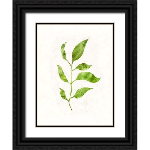 Borges, Victoria 15x18 Black Ornate Wood Framed with Double Matting Museum Art Print Titled - Sapling II
