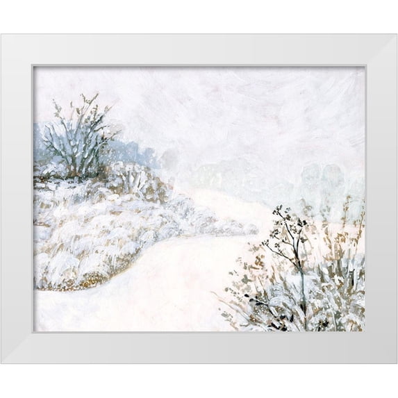 Borges, Victoria 18x15 White Modern Wood Framed Museum Art Print Titled - Frozen River Study II