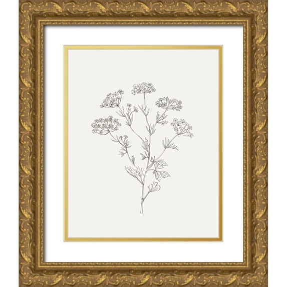Borges, Victoria 20x24 Gold Ornate Wood Framed with Double Matting Museum Art Print Titled - Wild Foliage Sketch III