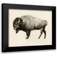 thumbnail image 1 of Borges, Victoria 24x20 Black Modern Framed Museum Art Print Titled - High Plains II, 1 of 5