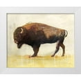 thumbnail image 1 of Borges, Victoria 24x20 White Modern Wood Framed Museum Art Print Titled - Roam I, 1 of 4