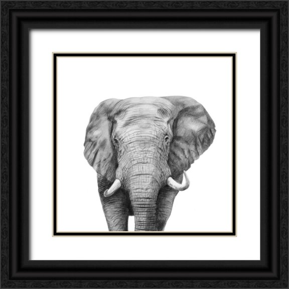 Borges, Victoria 26x26 Black Ornate Wood Framed with Double Matting Museum Art Print Titled - Back Up Plan IV