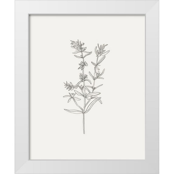 Borges, Victoria 26x32 White Modern Wood Framed Museum Art Print Titled - Wild Foliage Sketch I