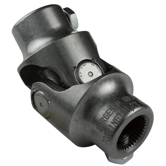 Borgeson 012828