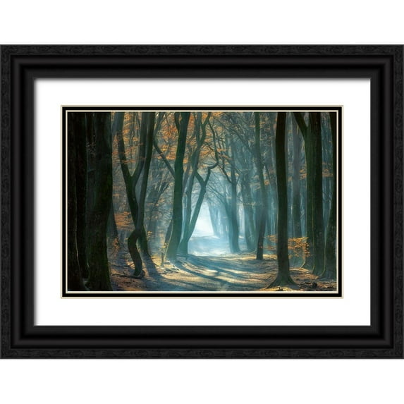 Borggreve, Ellen 14x11 Black Ornate Wood Framed with Double Matting Museum Art Print Titled - Cold Light